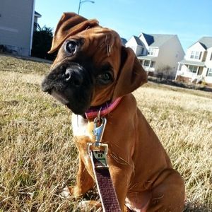 Meet your Posher, Natalie